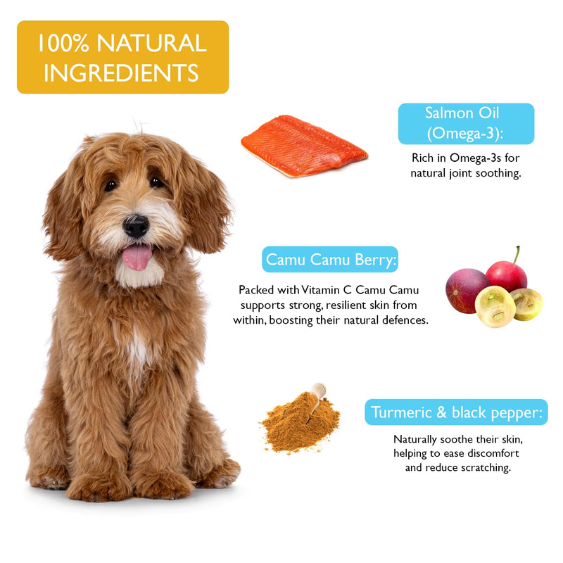 Fuzzl Itch Relief Skin & Coat Supplement Max Strength - Science Backed, Vet Approved, Made in UK - Omega 3 & Vitamins - Daily Anti-Itch Supplement for Dry Skin, Healthy Shiny Coat - 60 Treats Skin 60s
