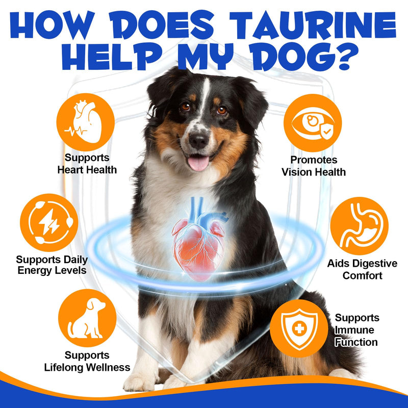 Taurine for Dogs – Daily Nutritional Supplement to Help Support Heart, Muscle & Overall Vitality – High-Purity & Easy-to-Mix, Additive-Free Formula for Puppies, Adult & Senior Dogs, 200g