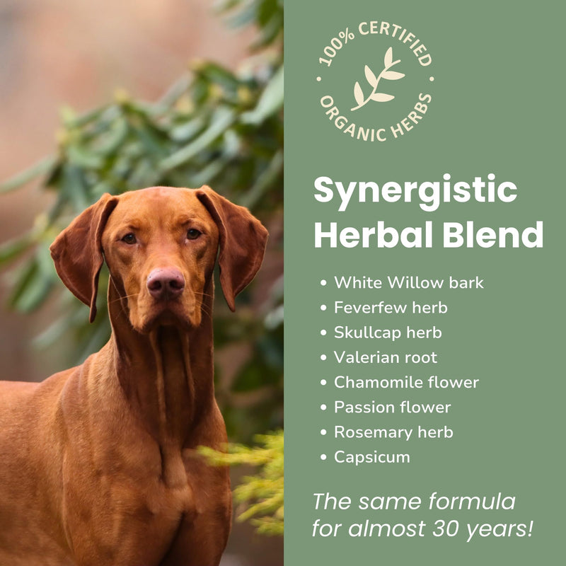 Glacier Peak Holistics HerbAprin - Natural Pain Relief for Dogs, Organic Herb Blend for Arthritis, Aches, Pains, Inflammation, Mobility Support, and Hip & Joint Discomfort - 3oz (90 Servings) - PawsPlanet Australia