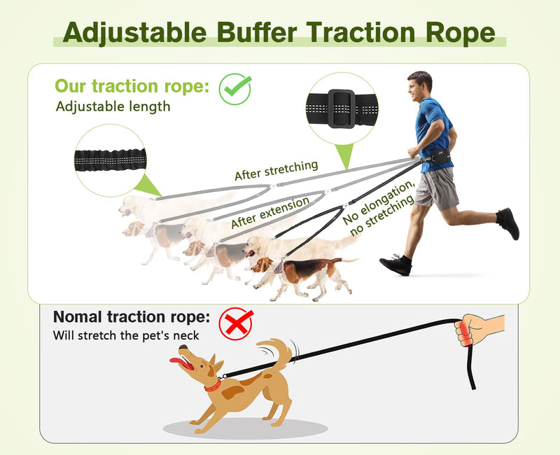 Pecute Hands Free Dog Leash 2 Dogs, Waist Belt Fanny Pack with Soft Padded, Dual Dog Leash with Pouch, 3 Padded Handles, Durable Bungee, Black Waist Dog Leash for Running Walking Hiking Jogging Biking Black-new - BeesActive Australia