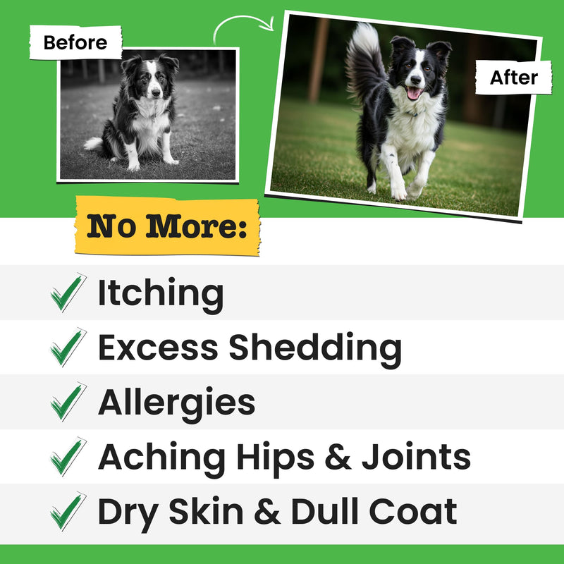 Omega 3 Fish Oil for Dogs & Cats - Made with Wild Alaskan Salmon Oil; Liquid Fish Oil Supplement for Pets with Omega 3 EPA+DHA Fatty Acids; Real Ingredients, Real Taste — Trusted by Vets! 8 Fl Oz