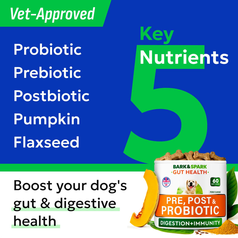 Advanced Dog Probiotics for Gut Health - Made in the UK - Pre, Post & Probiotic Treats - Dogs Digestive Health Sensitive Tums Support - All Breeds & Ages - Probiotics for Dogs (120 Ct, BBQ Pork) 120Ct Probiotic Chews