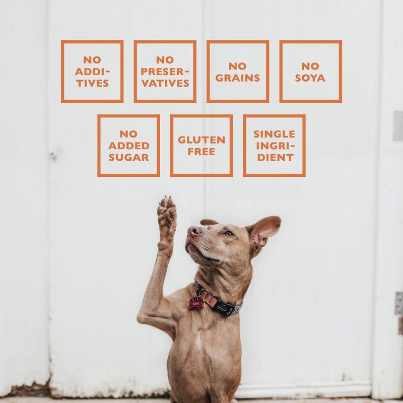Lamb Pizzle Sticks for Dogs - 100% Natural Chews | Gluten Free Dog Treats for All Ages & Sizes | High Protein Low Fat Lamb Pizzle for Dental Health | Long Lasting Grain Free Training Reward | 8oz