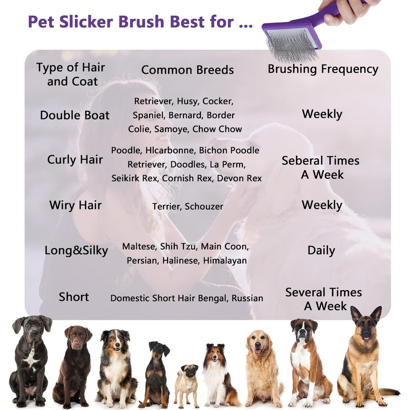 Dog Slicker Brush for Long Haired Dogs Doodle Brush for Dogs Large Dog Slicker Brush for Goldendoodles with Ergonomic Solid Wooden Handle Long Pin Grooming Brush for Dogs (Purple) Purple - BeesActive Australia
