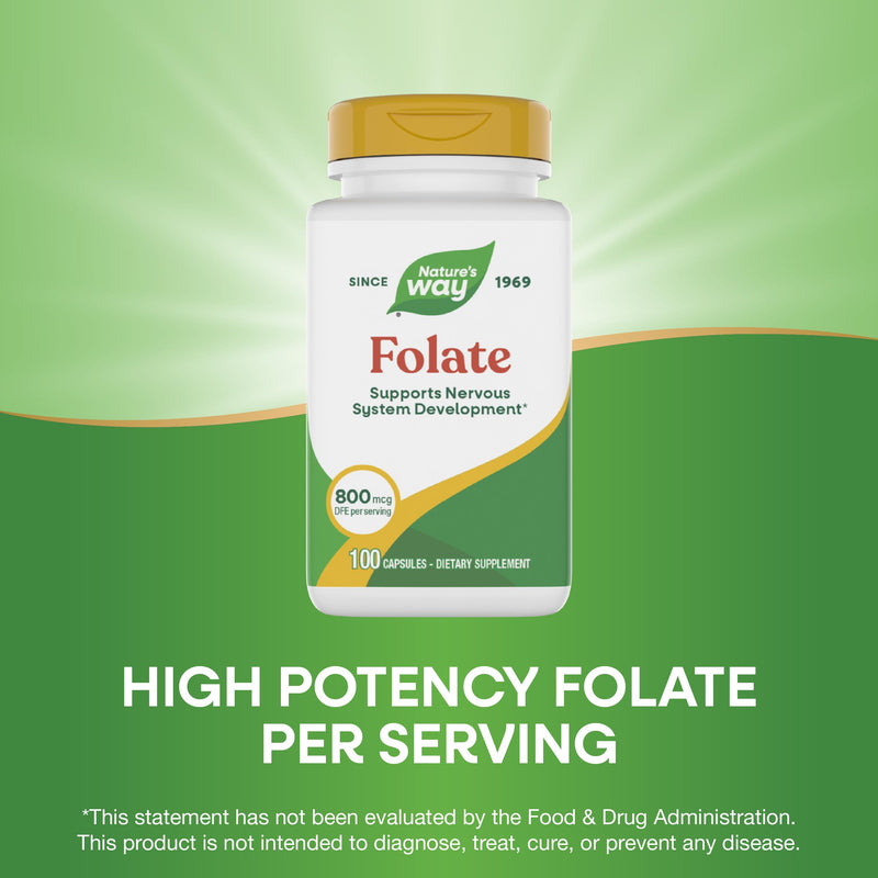 Nature's Way Folic Acid, 800 mcg DFE per serving, 100 Capsules