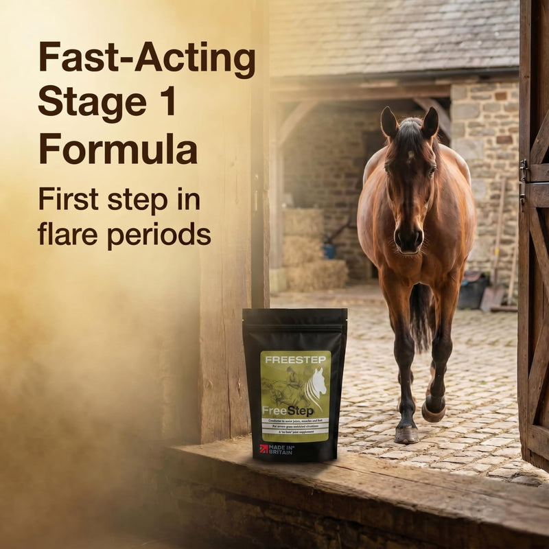 Original | Rapid stiffness relief for Laminitis Prone Horses | Intensive Horse Supplement | Magnesium, Boswellia & Bromelain Powder | Equine Mobility & Hoof Comfort | Molasses Free Low Sugar 250g | 1 Months Supply