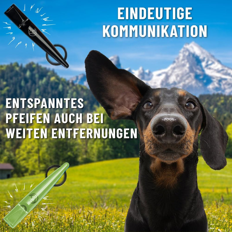 GIZZY® 2x dog whistle loud and far-reaching whistle sound I 2x dog whistles ideal as training aids for dogs I suitable for dog training barking or as a dog whistle recall I Incl. high-quality green/black ribbon - BeesActive Australia