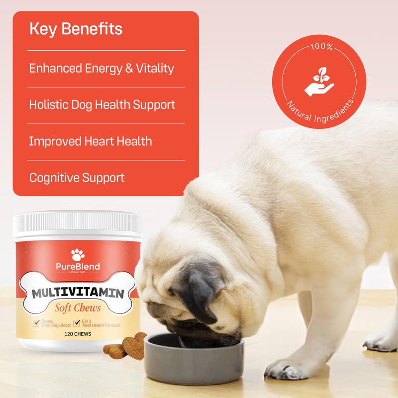 PureBlend Multivitamin Soft Chews for Dogs — Dog Vitamins with Glucosamine, Salmon Oil, Probiotics & CoQ10 — 120 Chews, Up to 4 Month Supply