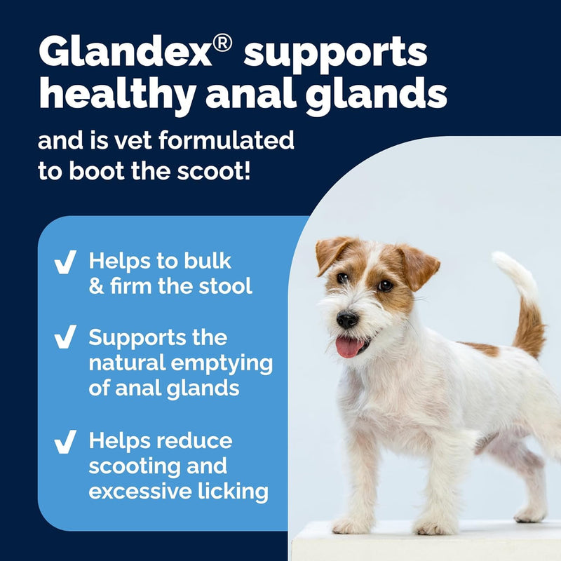 Glandex For Dogs UK - 30 Soft Chews - Vet-Formulated Anal Gland Support for Digestive Health - With Probiotics for Dogs, Omega-3s, Pumpkin & Fibre - Dog Probiotics for Gut Health - Boot The Scoot Chicken
