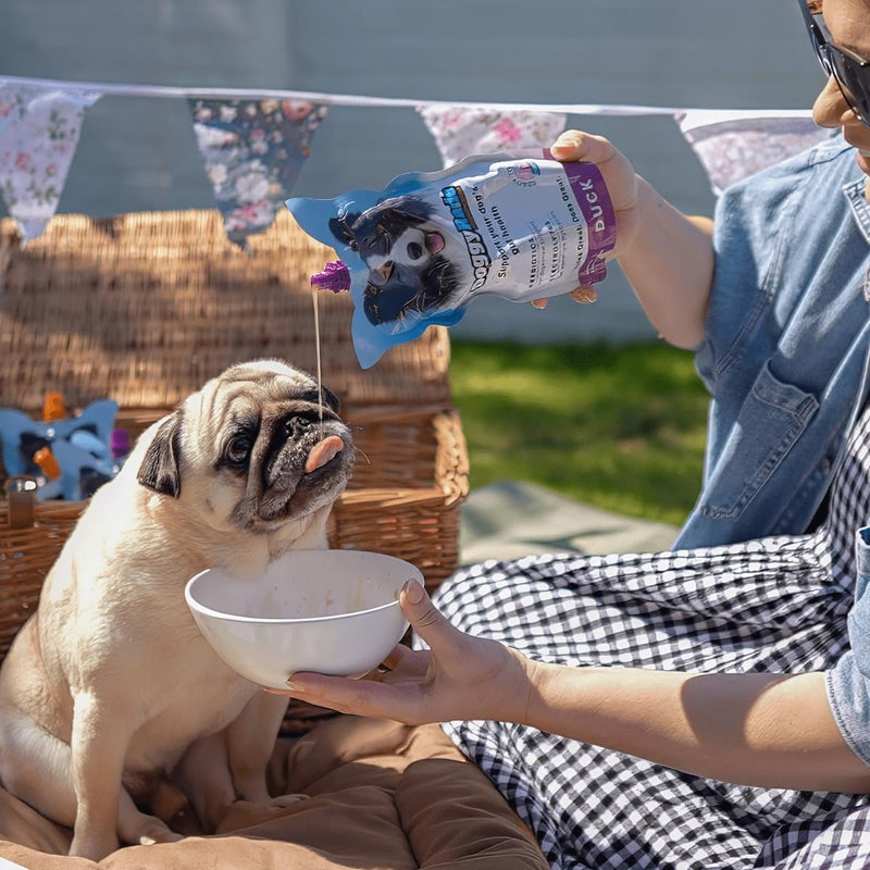 DoggyRade Duck Prebiotic Drinks For Dogs 250ml - Prebiotics For Digestive Support - Electrolytes For Optimum Hydration