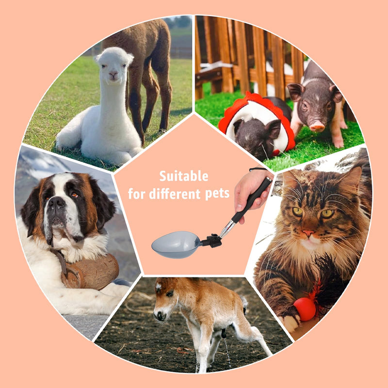 Dog Cat Urine Collector - Telescopic Urine Sample Catcher for UTI Test Kit,Dog Pee Stick for Veterinary Supplies.Dog Pregnancy Pee Test Kit(Basic Kit) basic kit - BeesActive Australia