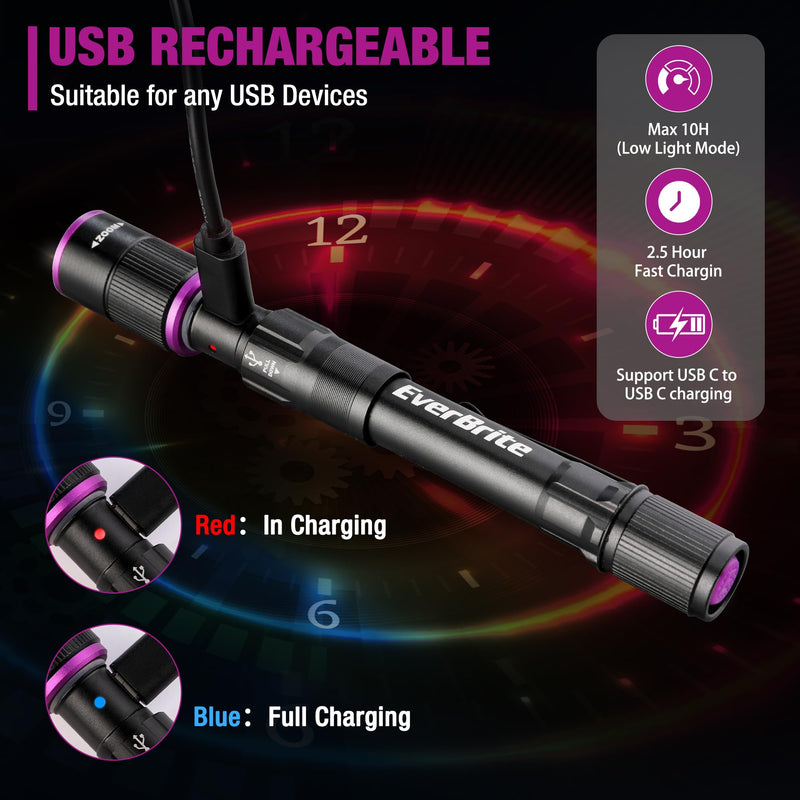 EverBrite LED Headlamp and Rechargeable Pen Flashlight - BeesActive Australia