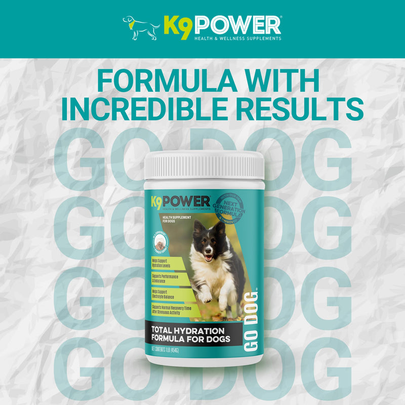 K9 Power Go Dog Hydration & Performance Drink Mix 1 lb - Active Dog Supplement for Muscle Function, Endurance, Recovery, with Electrolytes Support - PawsPlanet Australia