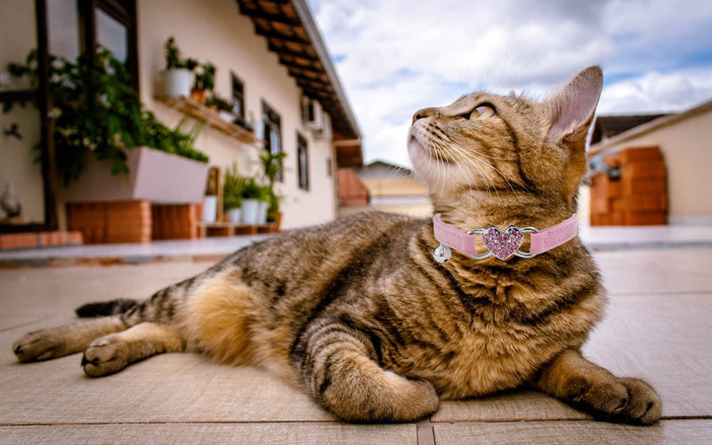 Heart Bling Cat Collar with Safety Belt and Bell Adjustable 8-10 inches for Kitten Cats (Pink) Pink