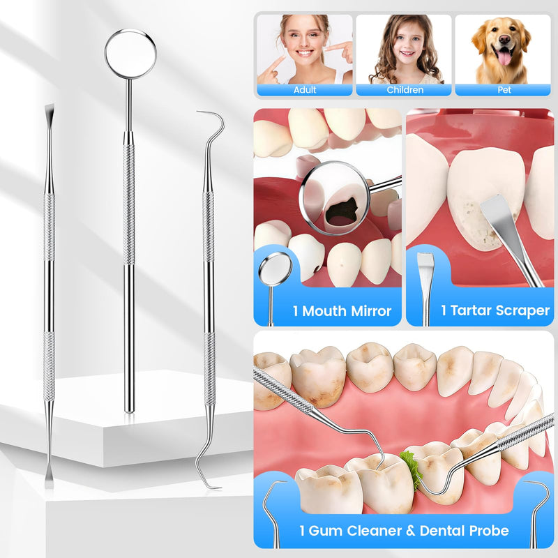 Plaque Remover for Teeth, Tartar Remover with 4 Tips