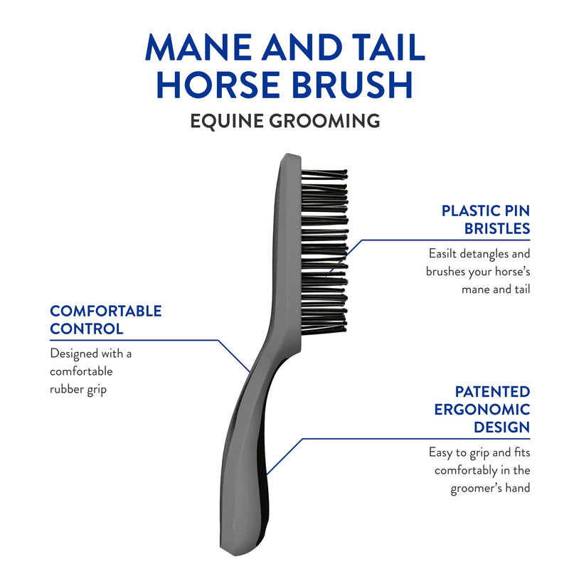 WAHL Professional Animal Equine Grooming Tool - Mane & Tail Brush (#858709-100) for Horses - Black - BeesActive Australia