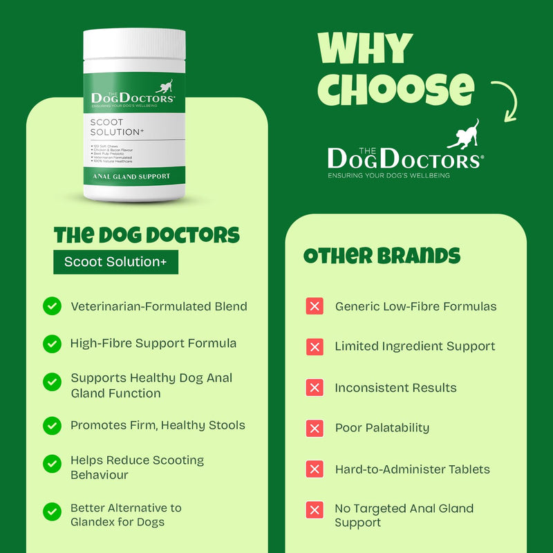 The Dog Doctors Scoot Solutions 120 Soft Chews – Digestive Chews for Dogs – Fibre Blend Soft Chews for Digestive Health, Gut Balance & Dog Anal Gland Support 120 count (Pack of 1)