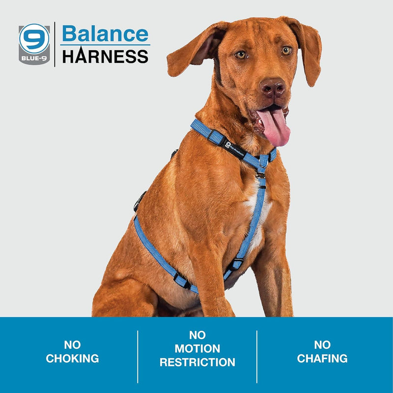 Blue-9 Reflective Buckle-Neck Balance Harness, Fully Customizable Fit No-Pull Harness with 3M Reflective Stitching, Ideal for Dog Training and Obedience, Made in The USA, Blue, Medium/Large M/L (Ribcage: 24"-35.5") - BeesActive Australia