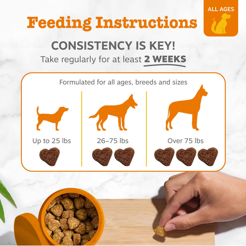 Zesty Paws Probiotics for Dogs - Digestive Enzymes for Gut Flora, Digestive Health, Diarrhea & Bowel Support - Clinically Studied DE111 - Dog Supplement Soft Chew for Pet Immune System - Pumpkin 90 Count - BeesActive Australia