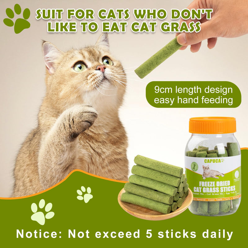 Freeze Dried Cat Grass Dental Sticks – Natural Teething Treats for Teeth Cleaning, Hairball Control & Digestion, Grain-Free Crunchy Snack (80g) Cat Grass Sticks (80g)