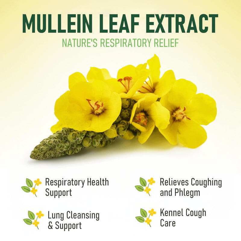 Cough Relief Mullein Drops for Dogs & Cats, Kennel/Dry/Wet Cough, Hoarseness, Seasonal coughing, Easy Breathing, Lung Cleanse, Better Lungs, Soothes Throat - Natural & Efficient ﻿ ﻿ ﻿