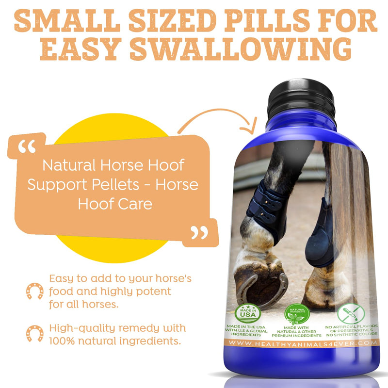 All-Natural Horse Hoof Support Pellets - Horse Hoof Care Products for Damaged or Injured Hooves - Hoof Supplements for Horses - Homeopathic & Highly Effective - 300 Tablets - BeesActive Australia