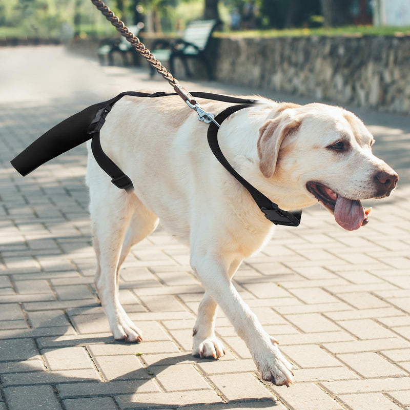 OHCOZZY Dog Tail Protector for Wounds, Adjustable Dog Tail Protector Sleeve for Medium and Large Dogs, Anti Licking(M,Black)