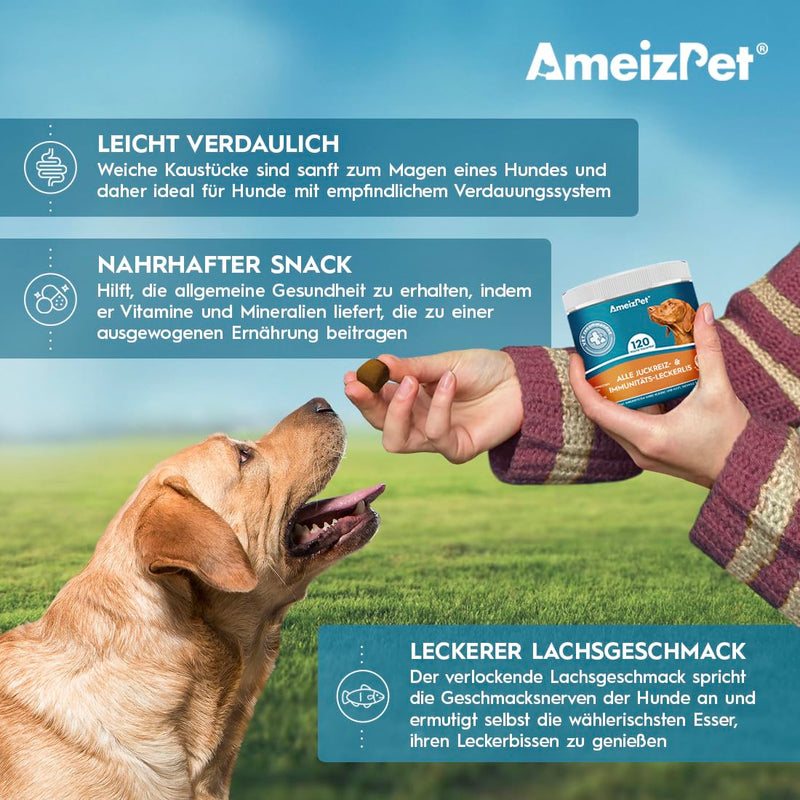 AmeizPet Dog Soft Treats Anti Itch & Immune for Dogs, Itchy Skin and Fur Dog Digestive Snacks, 120 Dog Treats Itch Relief & Immunity 120 Pieces (Pack of 1) - BeesActive Australia
