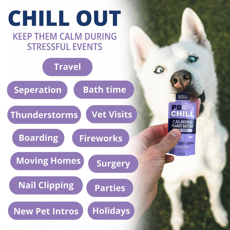 Under the Weather Pet PB & CHILL Dog Peanut Butter Dog Treats | Vet-Formulated 100% Natural and Tasty Calming Treats for Dogs | Promotes Calmness and Relieves Anxiety for Dogs | 1 Oz - Pack of 6 - PawsPlanet Australia