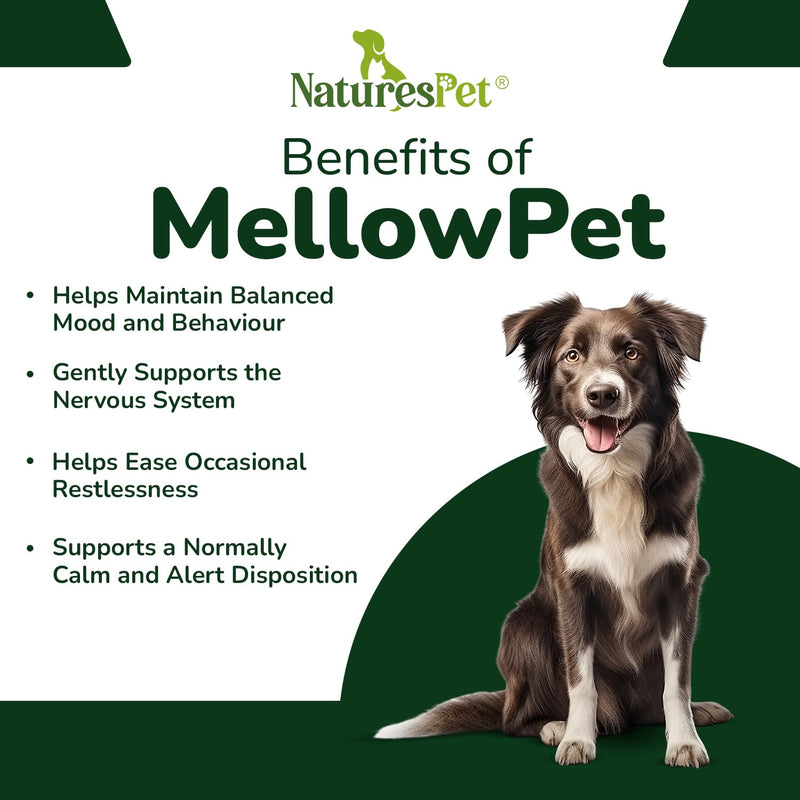 MellowPet – Calming Supplement for Dogs 120ml | Stress, Anxiety & Barking Relief for Travel & Separation | With Valerian & Ashwagandha – Salmon Flavour