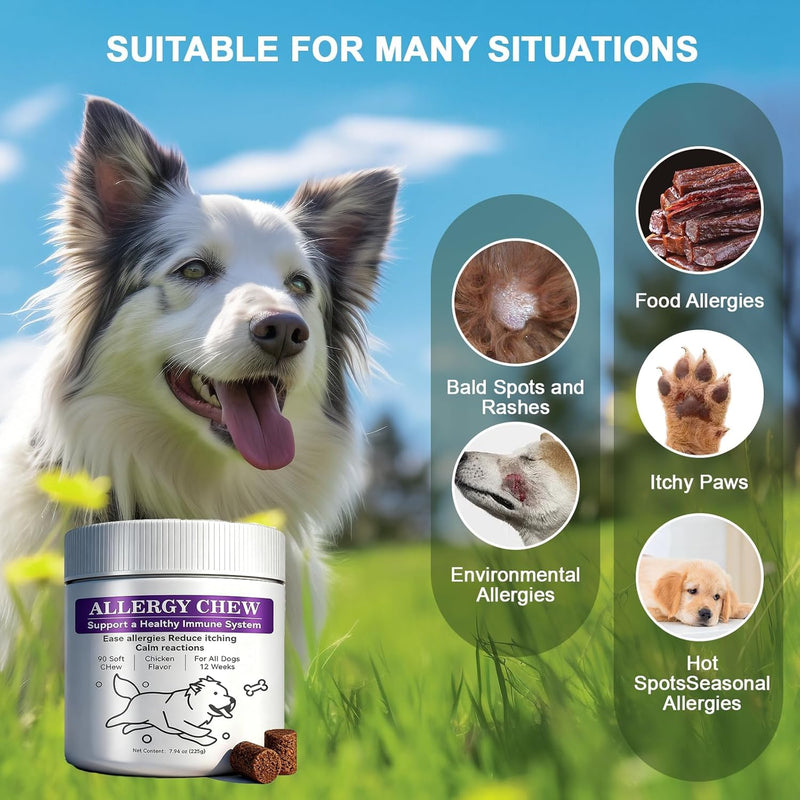 Dog Allergy Chews,Dogs Itching Skin Relief for Skin and Paw Licking, Dogs are Human Multivitamin Itch Relief for Seasonal Allergies-Support a Healthy lmmune System Chicken 90 ct.