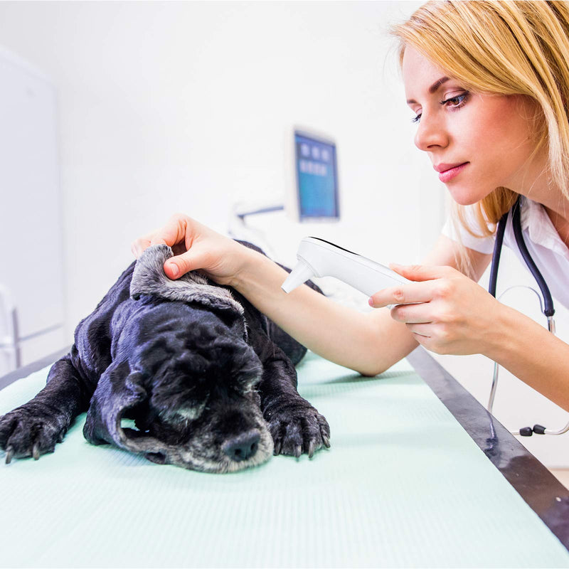 Cat and Dog Ear Temperature Monitor, Pet Only Thermometer, Dogs or Cats Ear Temperature Monitor with Warranty, Dog and Cat Ear Care Supply, Take Pet Temperature Tool. - BeesActive Australia