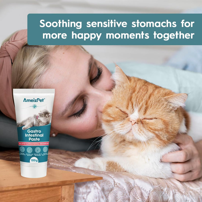 AmeizPet Gastro Intestinal Paste For Cats, Gastro Intestinal Support For Gut Health And Intestinal Flora, Digestive Support Supplement For Cats And Kittens, 3.53 Oz (100g)