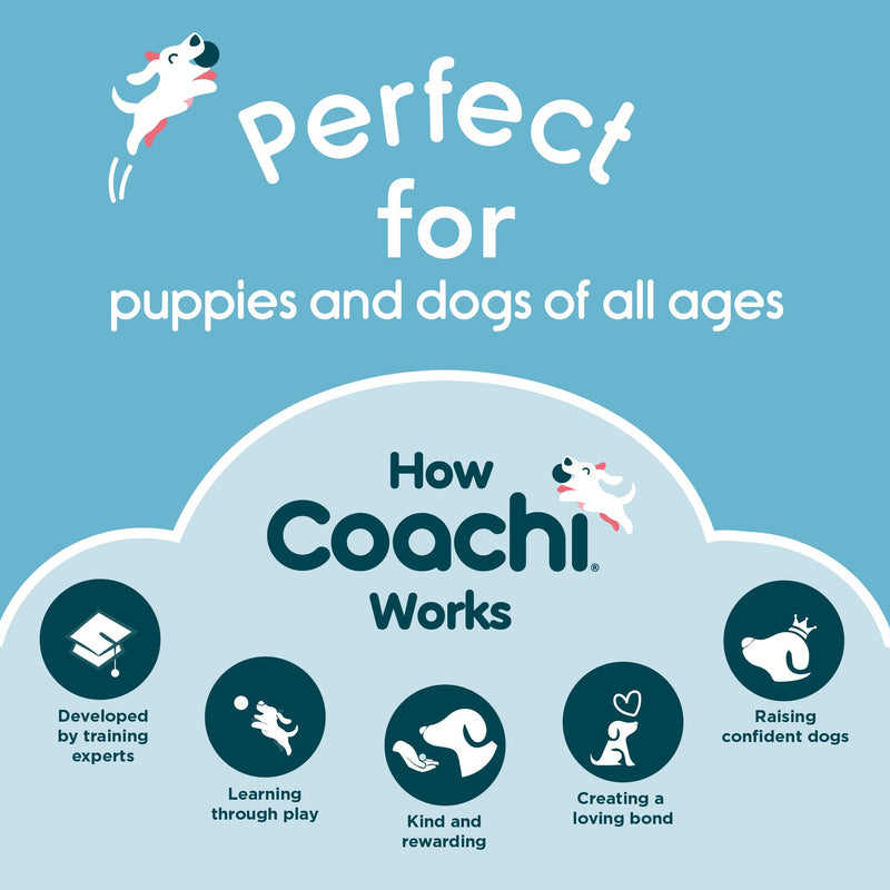 Company of Animals Coachi Target Stick, Telescopic Design with Large Ball for Target, Dog Accessory for Clicker & Agility Training, Teach Commands and Tricks New Model - BeesActive Australia