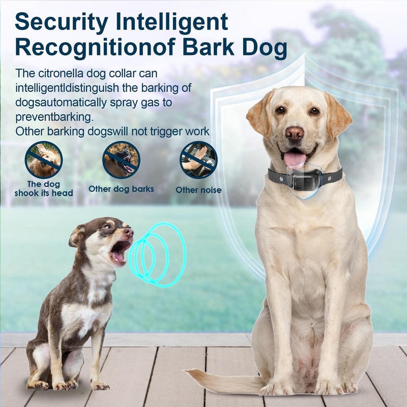 Citronella Bark Collar 2 Pack [No Citronella Refill] Citronella Dog Collar, Level 3 Sensitivity Adjustable Citronella Dog Bark Collar, Safer Anti Barking Control Spray Collar for L/M/S Dogs(2 Pack) Black-2 - BeesActive Australia