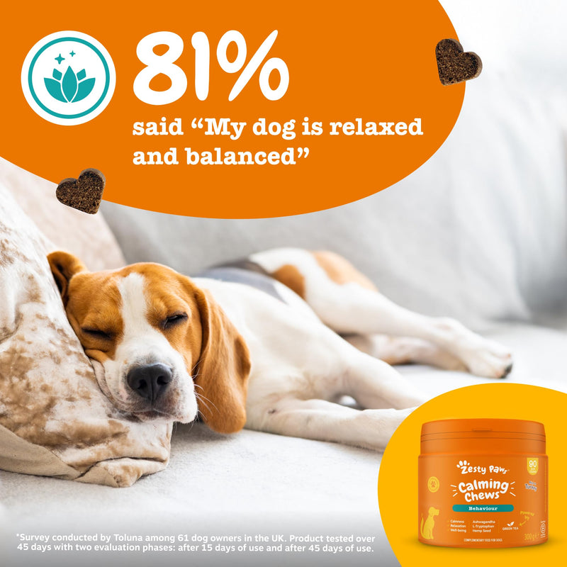 Zesty Paws Calming Treats for Dogs | Helps with Separation Anxiety, Stress & Hyperactivity, Supports Wellbeing & Relaxation | Contains Green Tea, Ashwagandha, L-Tryptophan | Daily Use | 90 Chews