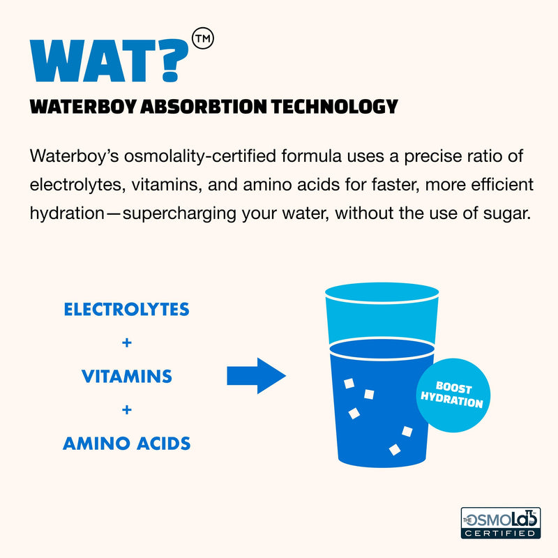 Waterboy Workout Hydration | 2,960mg Sugar Free Electrolyte Powder Packets | L-Glutamine + Vitamins | No Sugar, All Natural, Gluten Free (Variety) Variety (30ct)
