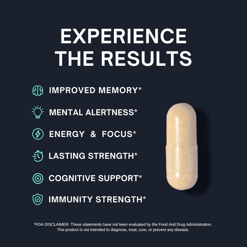Nootropic Supplement - Focus, Memory Booster, Productivity & Energy Vitamins for Women & Men - Nootropics Brain Support Supplement with Vitamin B12 & L Tyrosine, 60 Capsules