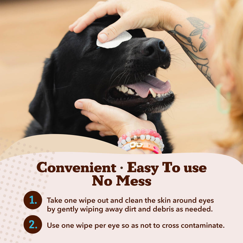 Natural Dog Company Dog Eye Wipes for Tear Stains & Eye Discharge, 100 Count – Gentle Eye Cleaning Wipes for Dogs with Aloe Vera & Witch Hazel, Removes Buildup & Eyes Gunk Eye Wipes 100 100 Count (Pack of 1)