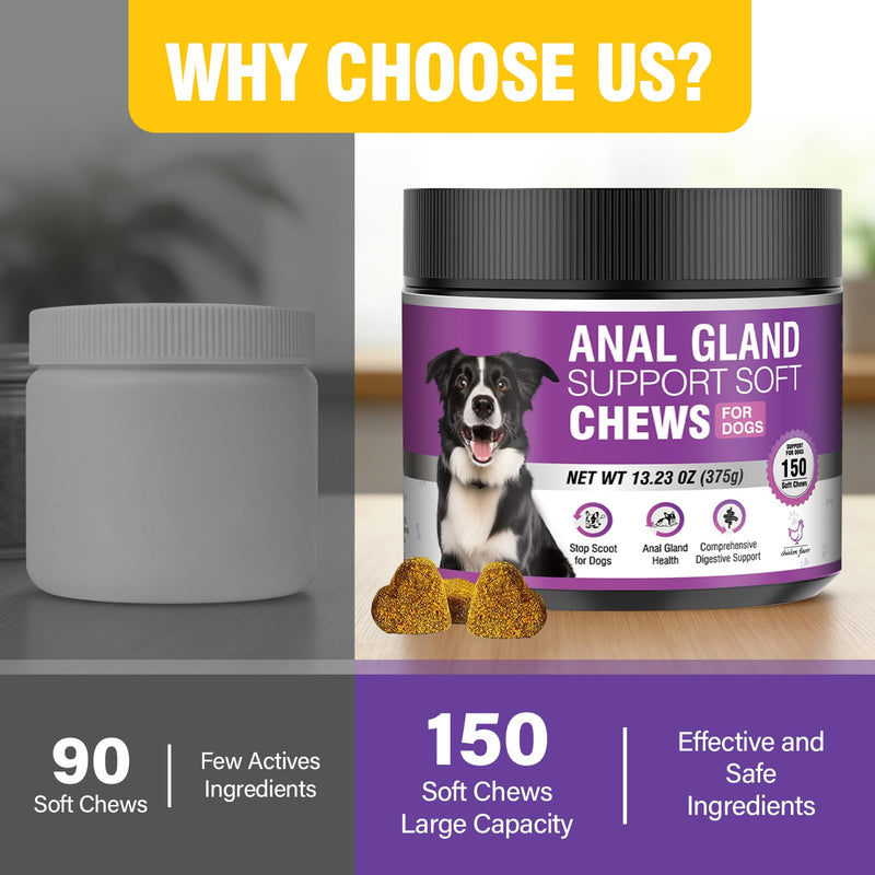 Dog Anal Gland Soft Chews 150 Stop Scoot for Dogs Supports Anal Gland Bowel Function Digestive Health Fiber Pumpkin Supplement for Dogs Pet Diarrhea Bowel Support Probiotics Digestive (Chicken Flavor) 150 Count(Pack of 1)
