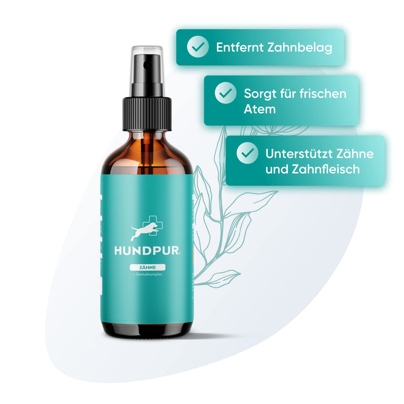Dental Complex Teeth - Dental and Mouth Spray for Pleasant Fresh Breath, Supports Teeth and Gums, with Natural Ingredients such as Mint, Eucalyptus and Sage, 100 m