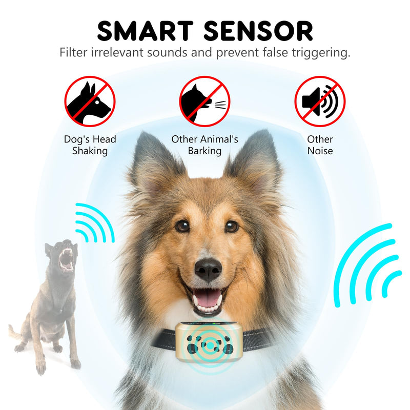 Dog Bark Collar, Svtrat Smart Bark Collar for Small Medium Large Dogs Anti Bark Collars with 4 Training Modes and 7 Level Sensitivity, Barking Collar Gold - BeesActive Australia