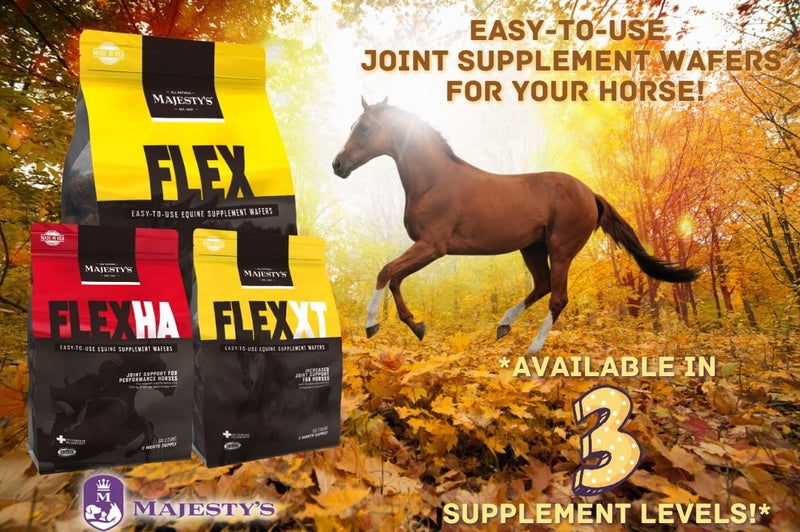 Majesty's Flex HA Wafers - Superior Performance Horse / Equine Joint Support Supplement - HA, Vitamin C, Yucca, Glucosamine - 30 Count (1 Month Supply) - BeesActive Australia