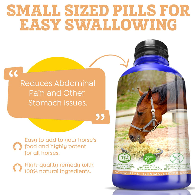 All-Natural Horse Colic Support - Reduces Abdominal Pain and Other Stomach Issues - Supplements for Horses - Homeopathic & Highly Effective - 300 Tablets - BeesActive Australia