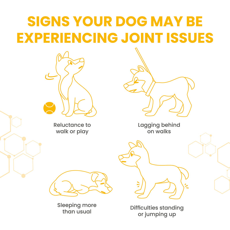 Vetzyme Flexible Joint Supplements for Dogs (90 Tablets) - Hip and Joint Care with Glucosamine, Tasty Chicken Flavour 90 Count (Pack of 1)