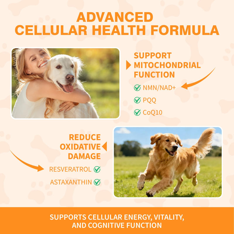 Mature Dog Vitality Drops -Healthy Aging,Cellular Energy & Antioxidant Support with NMN,NAD+ & CoQ10-60ml（2 FL OZ