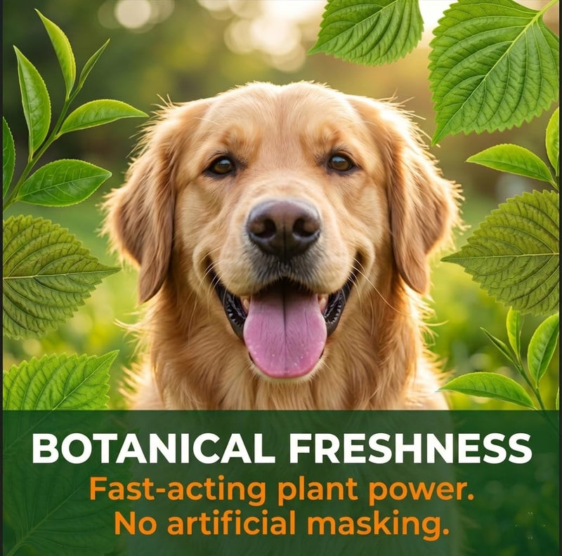 Dog Teeth Cleaning Powder - 8-in-1 Enzymatic Dog Dental Powder with 10B Probiotics & Brown Algae, No Brushing Breath Freshener, Targets Plaque & Tartar, 3.5oz