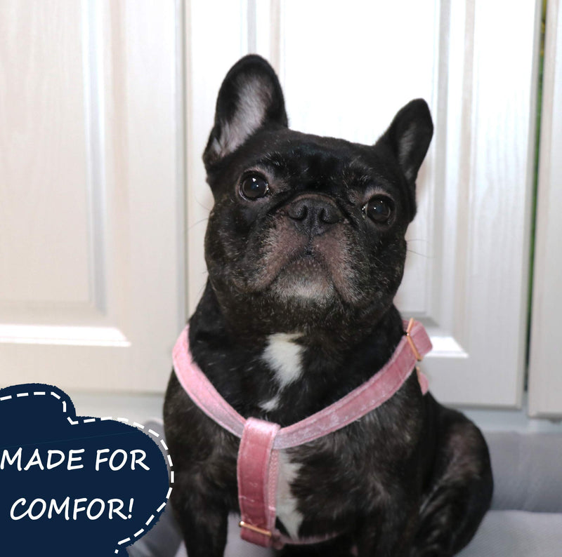 ARING PET Dog Halter Harness, Velvet Dog Harness, No Pull Dog Halter Harness, Adjustable Heavy Duty Dog Harness for Small Medium Large Dogs Small (Pack of 1) Pink - BeesActive Australia