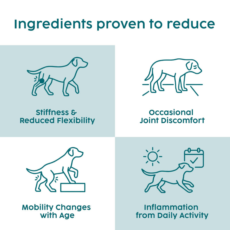 Turmeric Powder for Dogs 100g – Natural Hip and Joint Supplement for Dogs with Ginger & Black Pepper, Daily Mobility, Joint Health & Inflammation Support