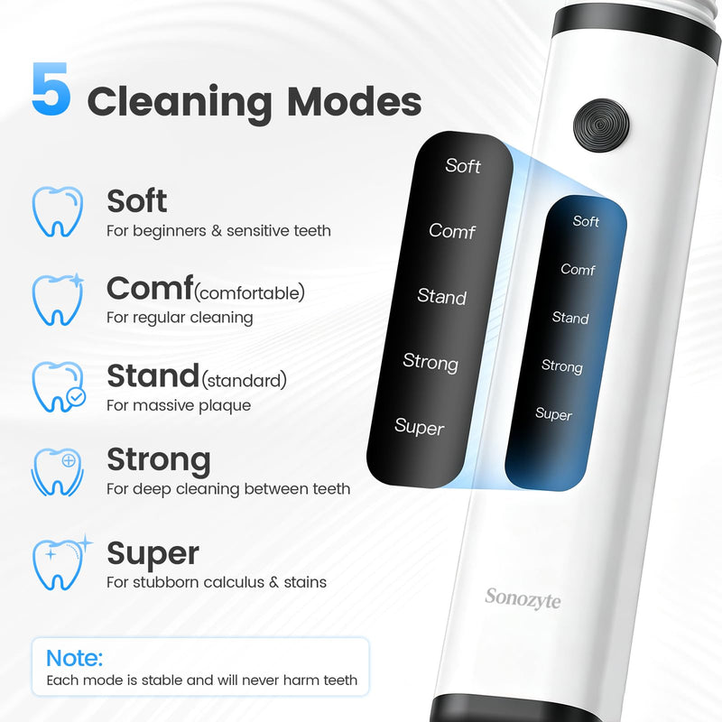 Plaque Remover for Teeth, Tartar Remover with 4 Tips